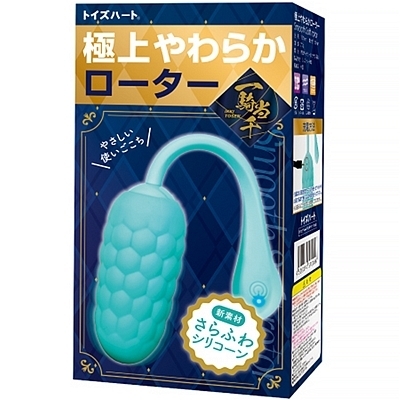 ɏ炩[^[